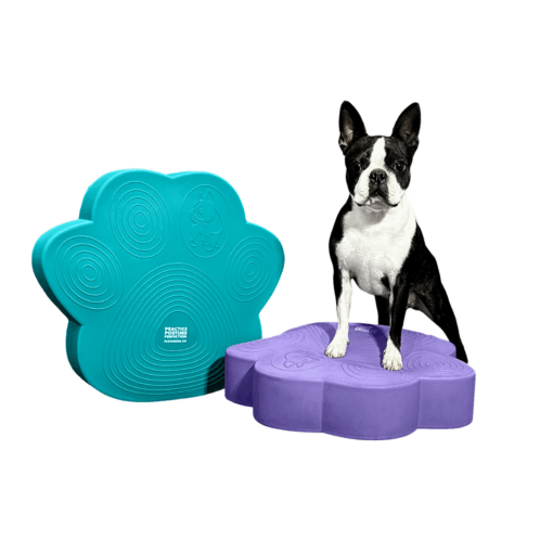 PawDisc