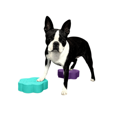 ToyPawDiscs (4er Set)