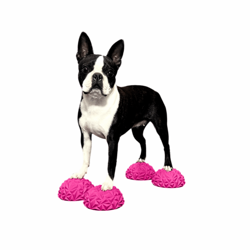 PawStackers (4er Set)
