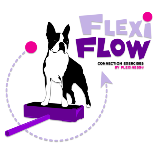 FlexiFlow - Foundations & Basics - Workshop