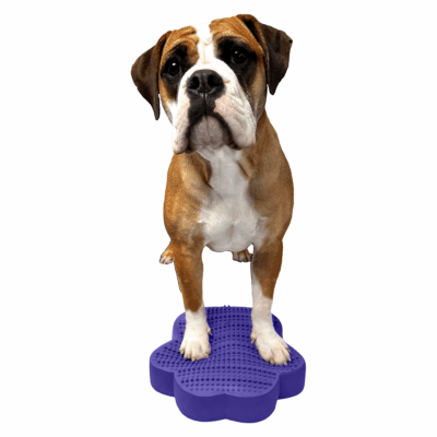 SensiPawDisc