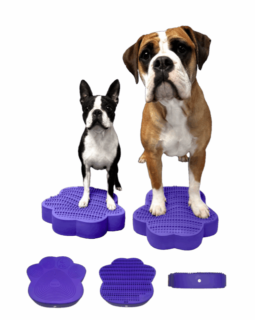 SensiPawDisc – Bild 6