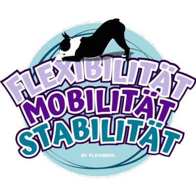 Flexibilität, Mobilität, Stabilität – die Flexiness® Bewegungsformel für Senioren - Workshop
