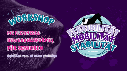 Flexibilität, Mobilität, Stabilität – die Flexiness® Bewegungsformel für Senioren - Workshop – Bild 2