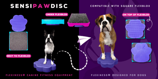 SensiPawDisc – Bild 8