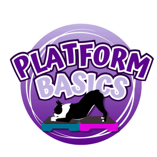 Platform Basics