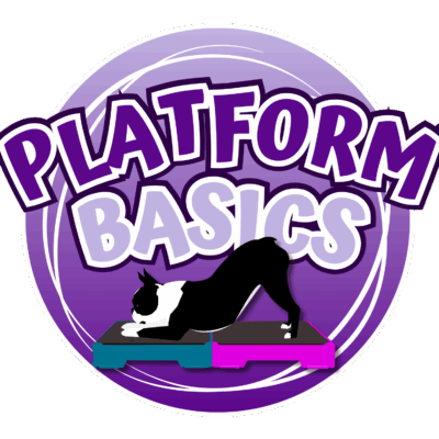 Platform Basics