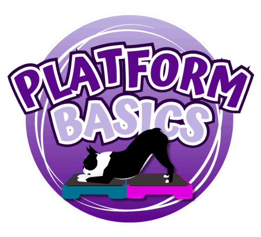 Platform Basics