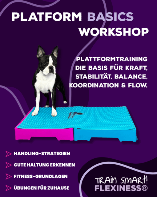 Platform Basics – Bild 2