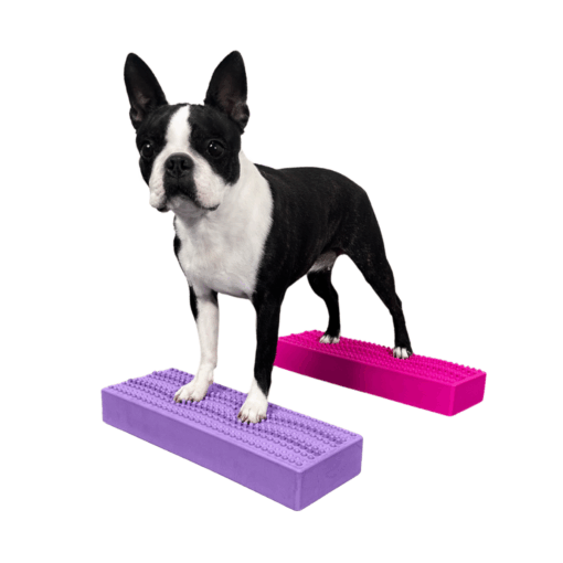 StackingBar